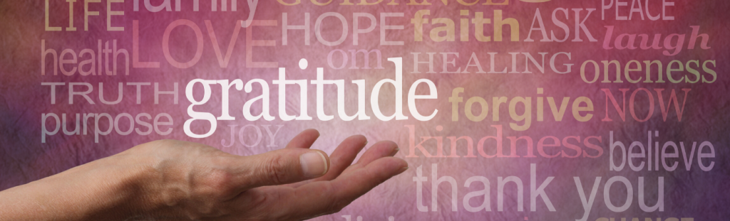 Read more about the article The Power of Gratitude