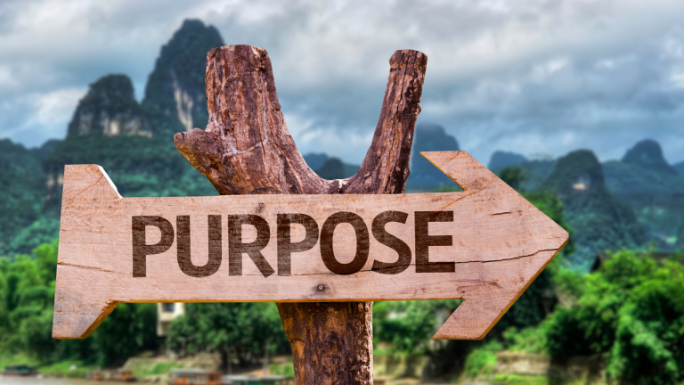 Finding Purpose