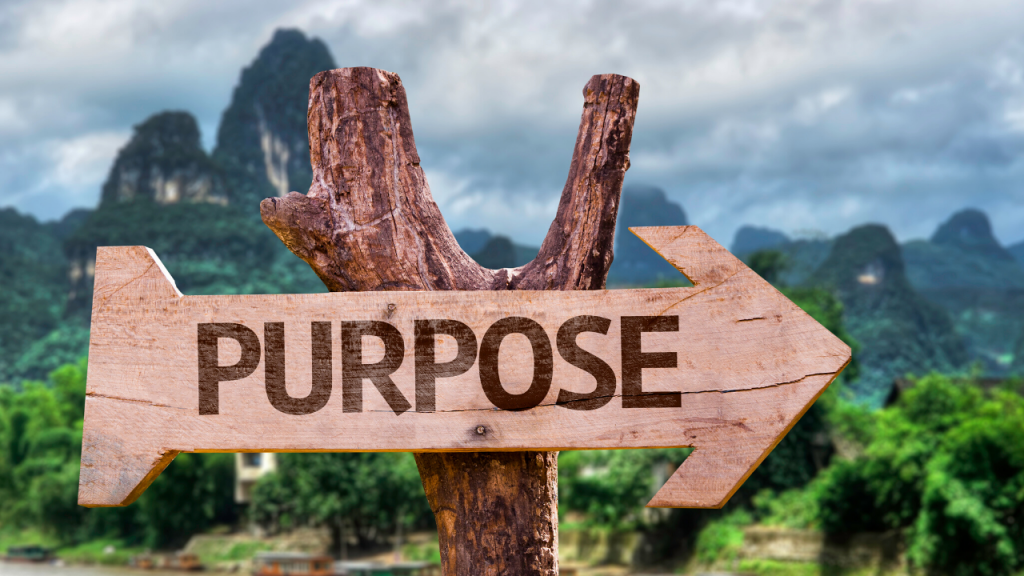 Read more about the article Finding Purpose